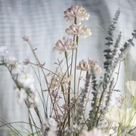 Blomsterstilk fra Ib Laursen - grålige / lilla