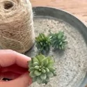 Kunstig sukkulent (lys) - mini 6 cm.