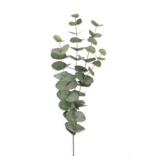 kunstig naturtro eucalyptus gren