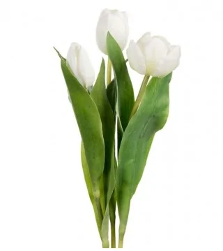 naturtro hvide tulipaner