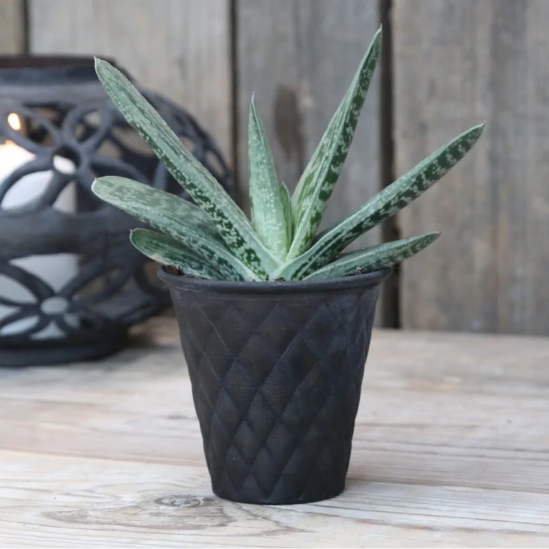 Skjuler i metal med tern fra Chic Antique