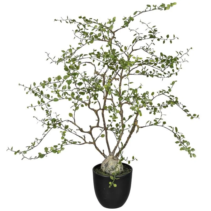 kunstig pletter i luften plante
