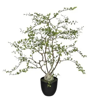 kunstig pletter i luften plante