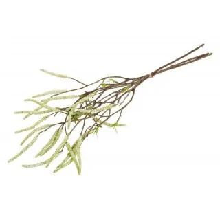 Hassel gren i bundt H63 cm