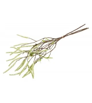 Hassel gren i bundt H63 cm