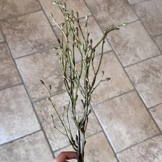 Tilia kunstig gren til buketter