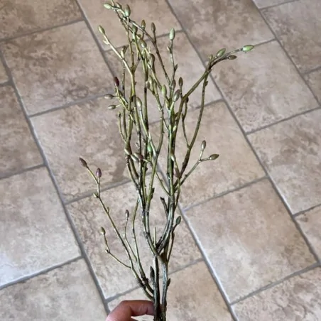 Tilia kunstig gren til buketter