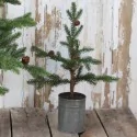 Grantræ med kogler i zinkpotte - H48 cm
