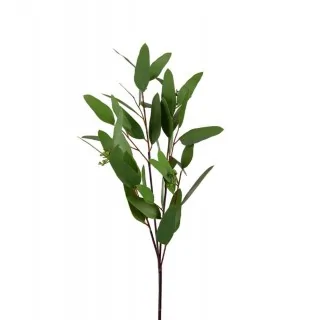 Kunstig Eucalyptus gren...