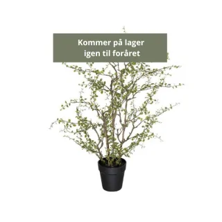 Kunstig pletter i luften -...
