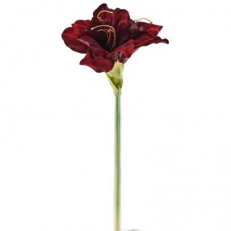 Kunstig Amaryllis Bordeaux – 50 cm