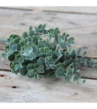 Kunstig eucalyptus plante - H37 cm