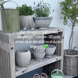 Butikken kan i år fejre 9 års fødselsdag 🇩🇰🥳 

… jeg siger ikke at jeg nær havde glemt det, men altså det kom lidt bag på mig at det er NU-NU 😂 sommeren er jo fløjet afsted indtil nu. 

Fødselsdagen fejres naturligvis med skønne tilbud på lækkert interiør og hygge til uderummet! 🇩🇰 det kombineres med et større oprydnings- og restsalg. 

Kig endelig forbi butikken, som har åbent ekstra de næste 2 lørdage. ☀️ Åbningstiderne er som følgende de næste 2 uger:

Onsdag / torsdag 12.00-17.30
Lørdag 10.00-13.00 (normalt lukket i weekenderne)

Hvis man ikke bor i eller i nærheden af #vesthimmerland, så kan man finde de fleste tilbud online også. (Enkelte sendes ikke).

I de kommende dage vil jeg vise mere af tilbudene i story, så følg endelig med 💚🤗

#interiørbutik #livsstilsbutik #interiørtips #brugskunst

@frk.wurtz er en interiørbutik og gårdbutik i Nordjylland med inspiration til boligen.